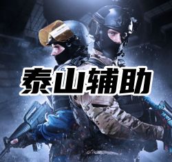 CSGO泰山辅助（天花板级别稳如泰山）