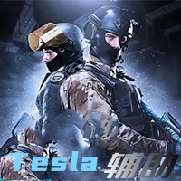 CS2-Tesla辅助（支持完美平台）