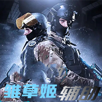 CSGO-雏草姬辅助 (支持官匹5E平台)