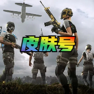 绝地求生皮肤号
