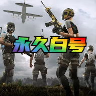 绝地求生永久白号