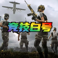 绝地求生豪华版排位白号